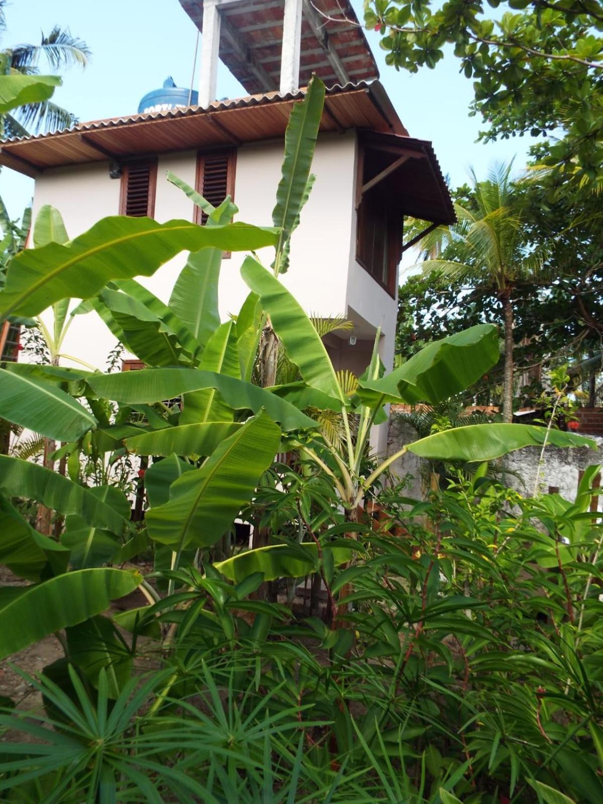 Jardim Uixa Villa Velha Boipeba Dış mekan fotoğraf